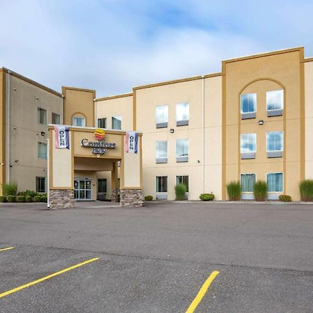 Comfort Inn Apalachin - Binghamton W Route 17 Exteriör bild