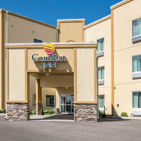 Comfort Inn Apalachin - Binghamton W Route 17 Exteriör bild