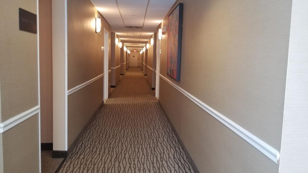 Comfort Inn Apalachin - Binghamton W Route 17 Exteriör bild