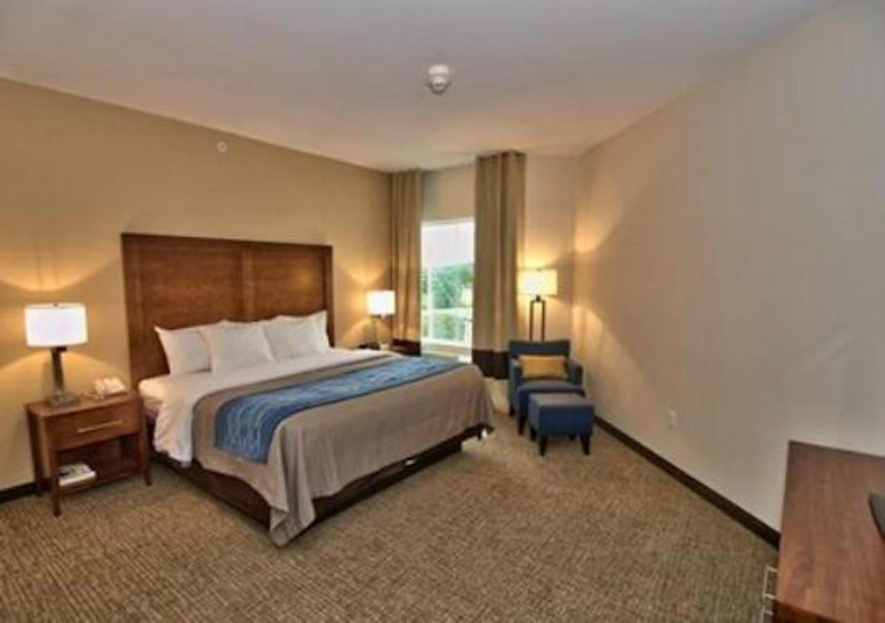 Comfort Inn Apalachin - Binghamton W Route 17 Exteriör bild