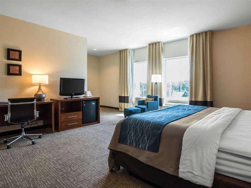 Comfort Inn Apalachin - Binghamton W Route 17 Exteriör bild