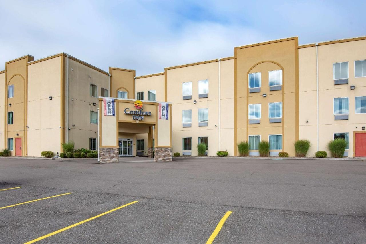 Comfort Inn Apalachin - Binghamton W Route 17 Exteriör bild