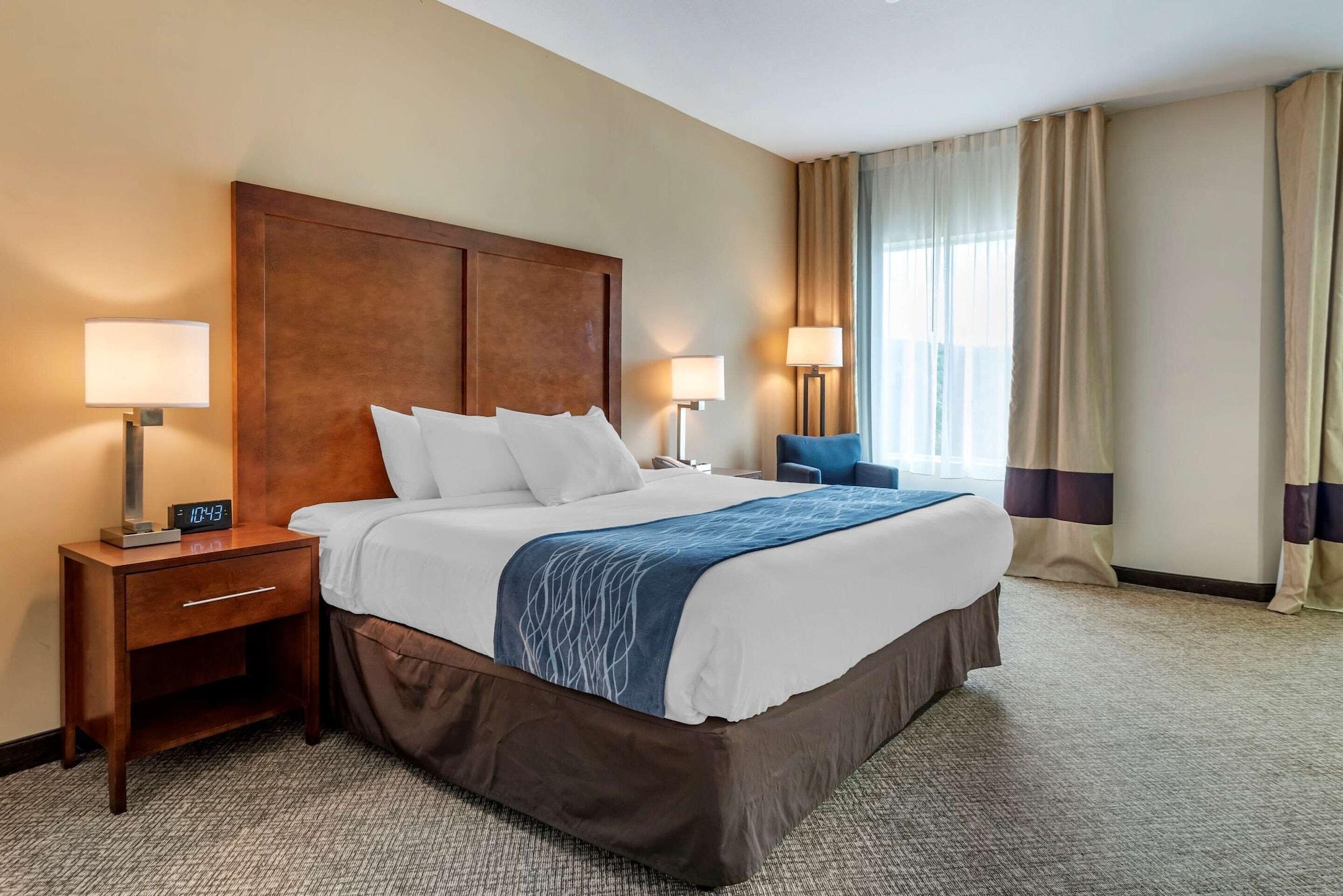 Comfort Inn Apalachin - Binghamton W Route 17 Exteriör bild