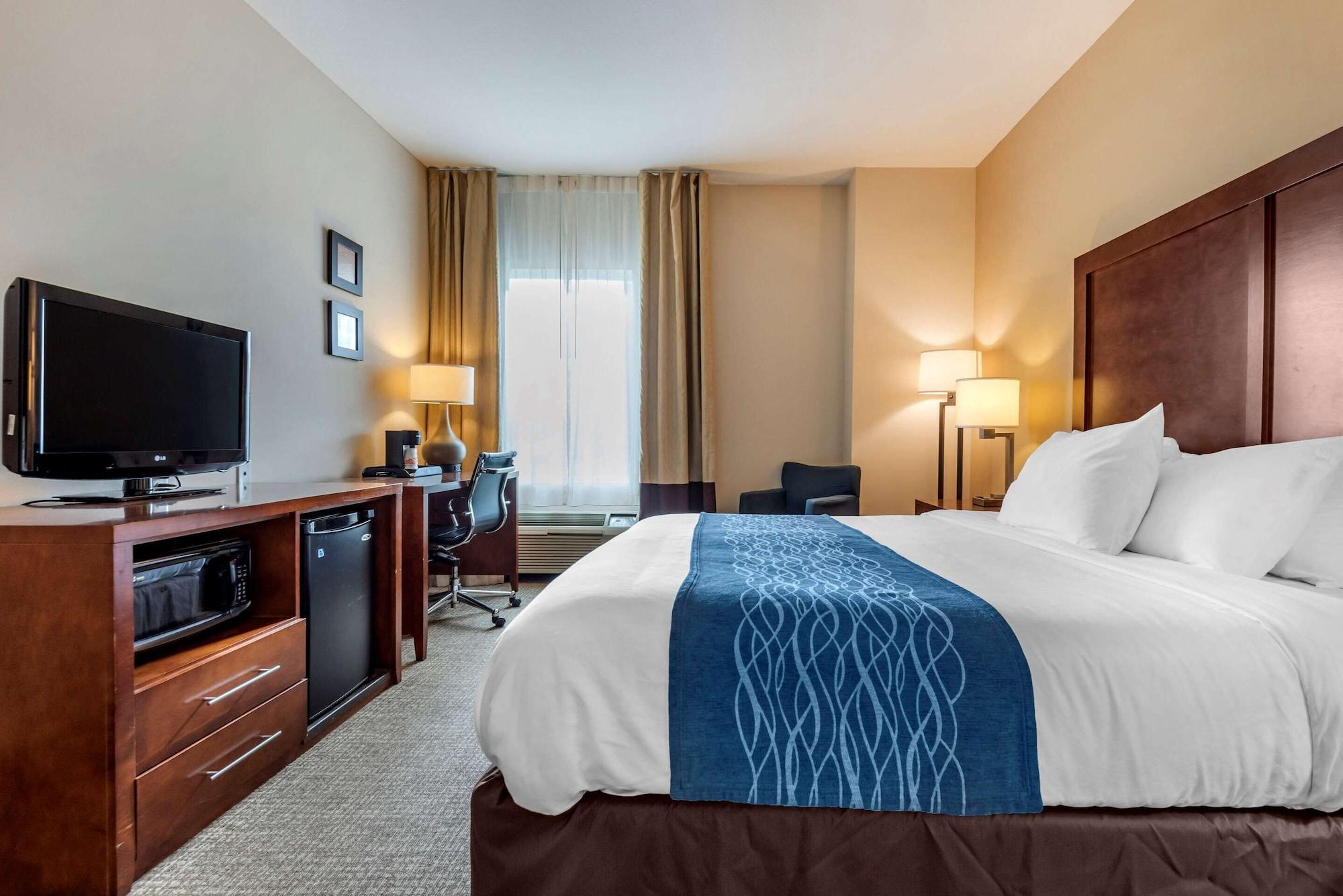 Comfort Inn Apalachin - Binghamton W Route 17 Exteriör bild
