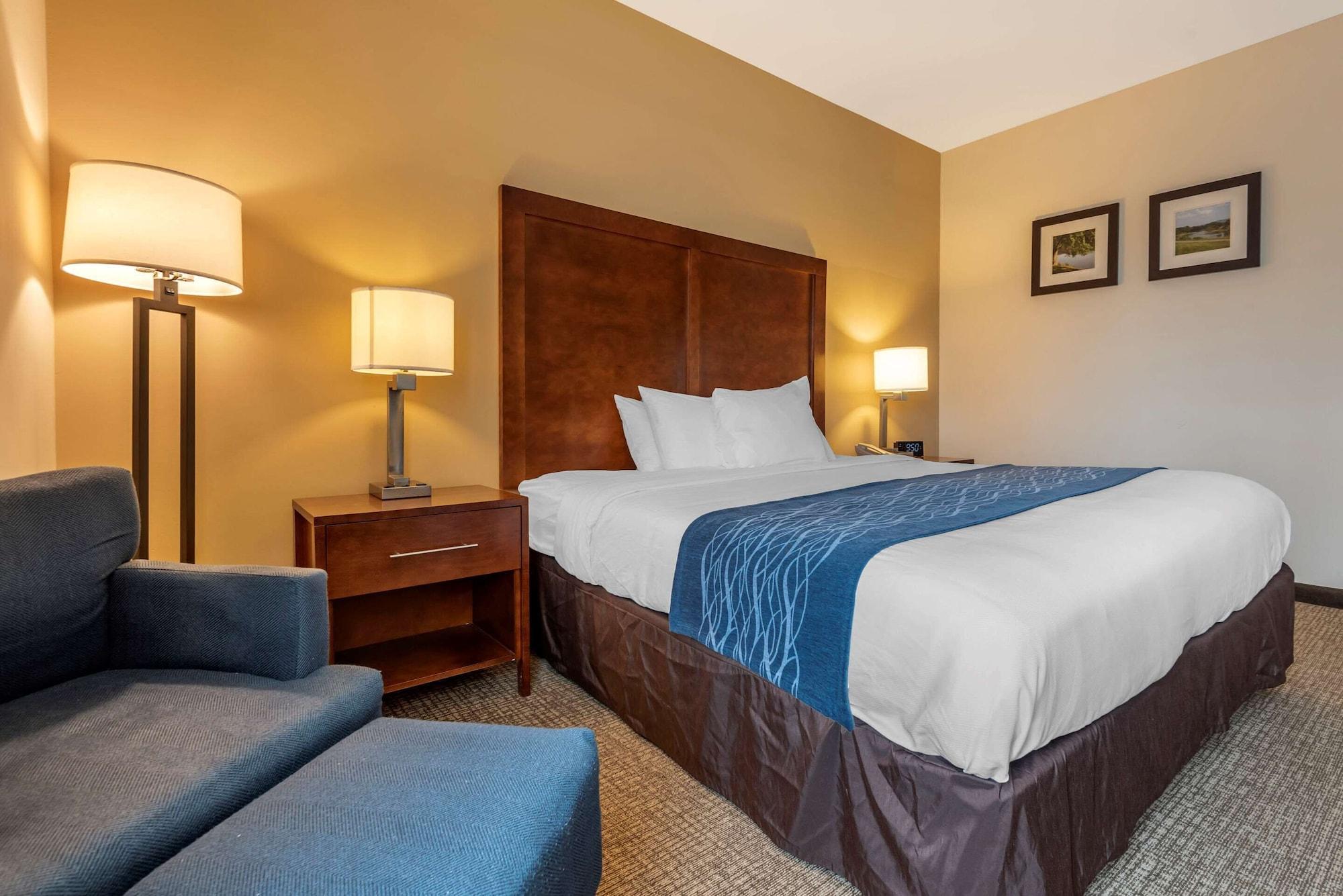 Comfort Inn Apalachin - Binghamton W Route 17 Exteriör bild