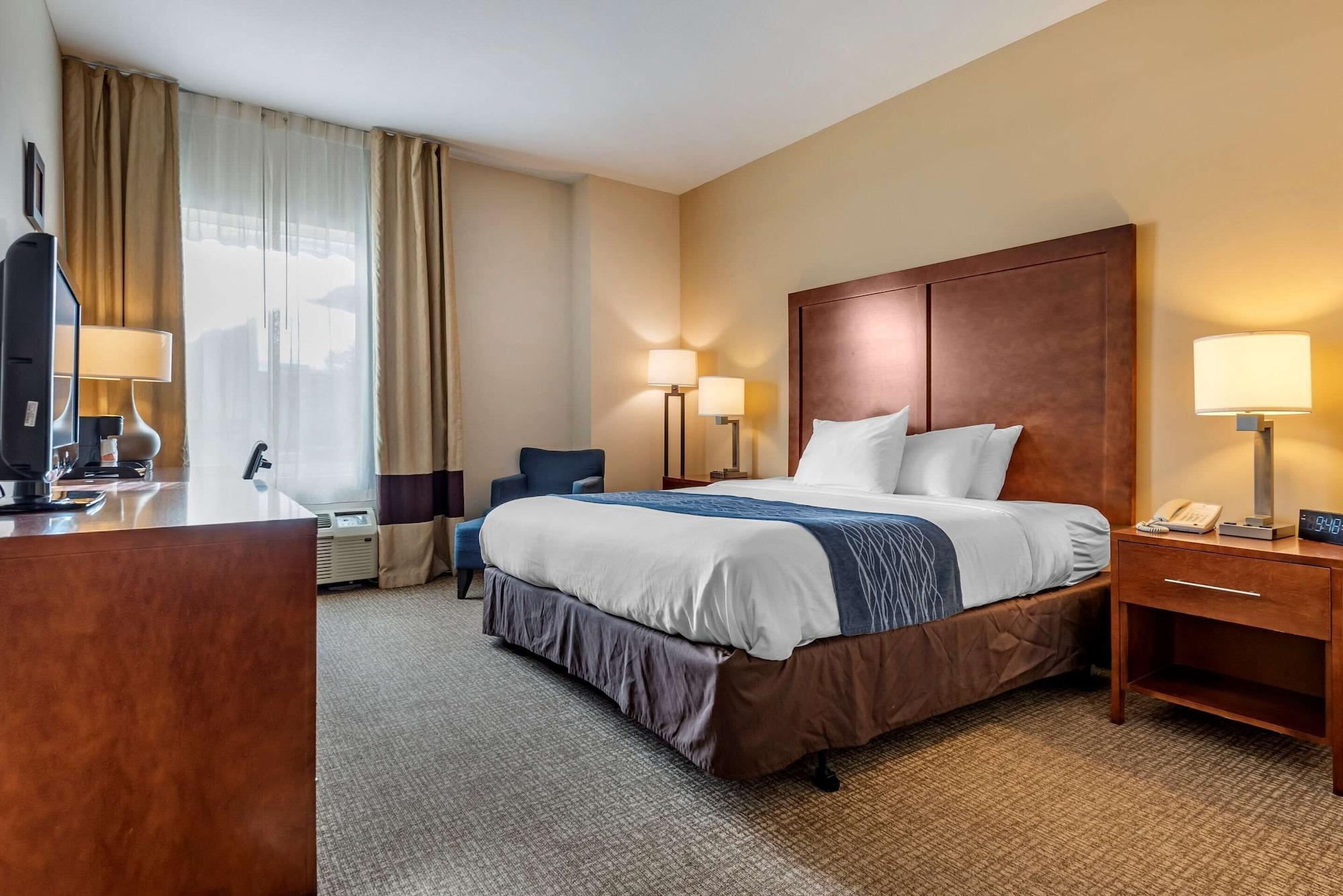 Comfort Inn Apalachin - Binghamton W Route 17 Exteriör bild