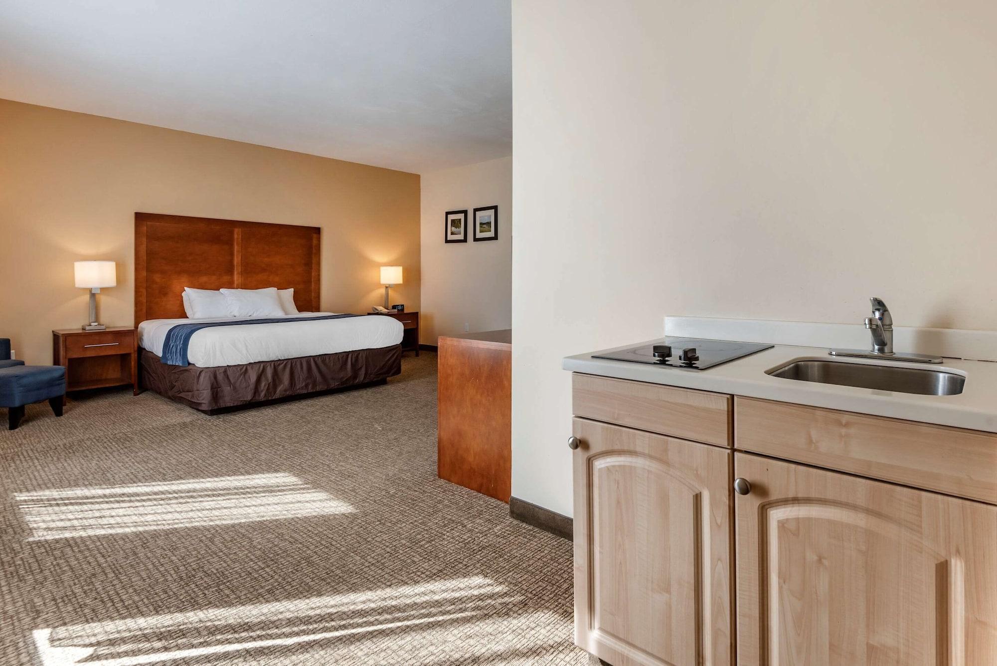 Comfort Inn Apalachin - Binghamton W Route 17 Exteriör bild