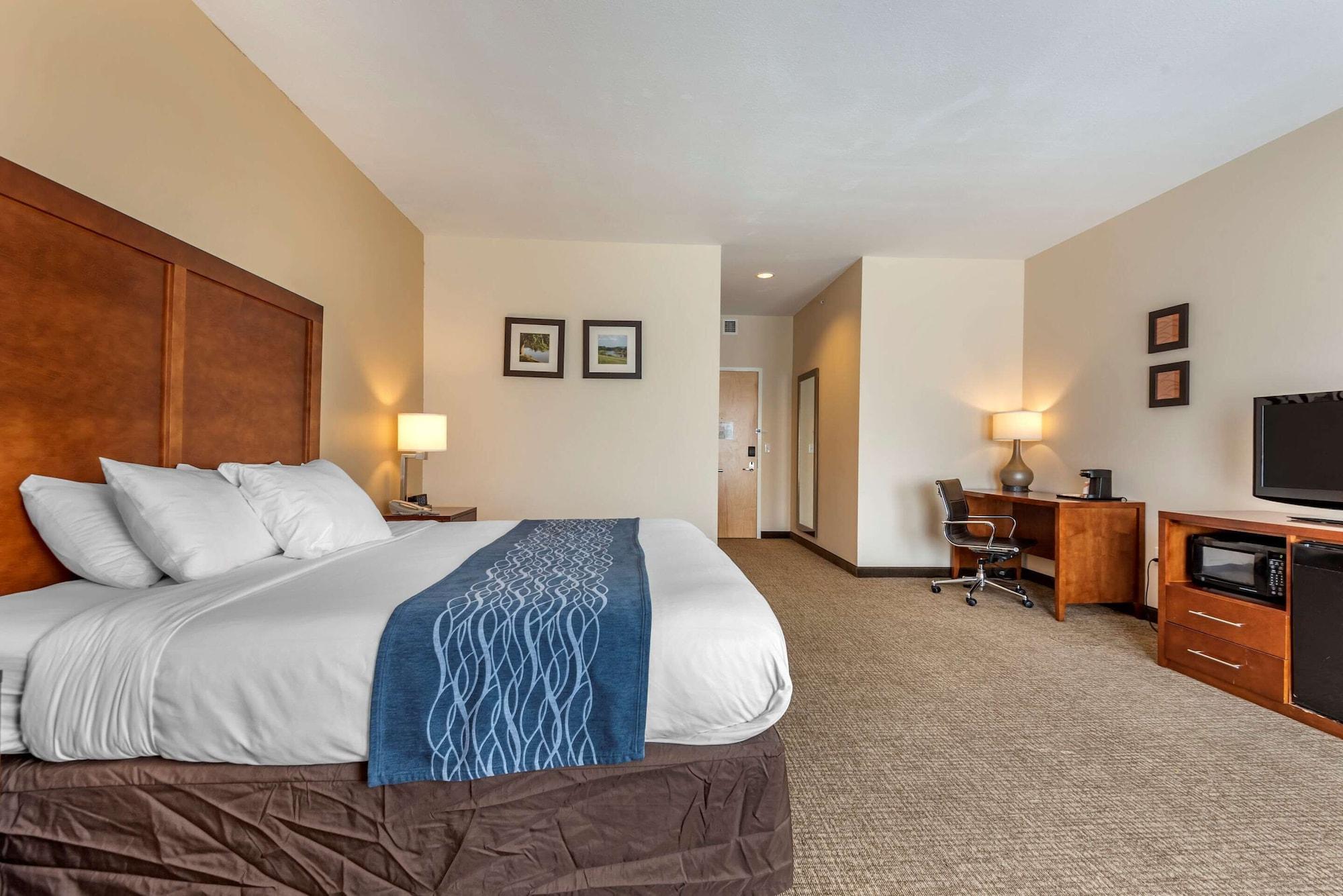Comfort Inn Apalachin - Binghamton W Route 17 Exteriör bild