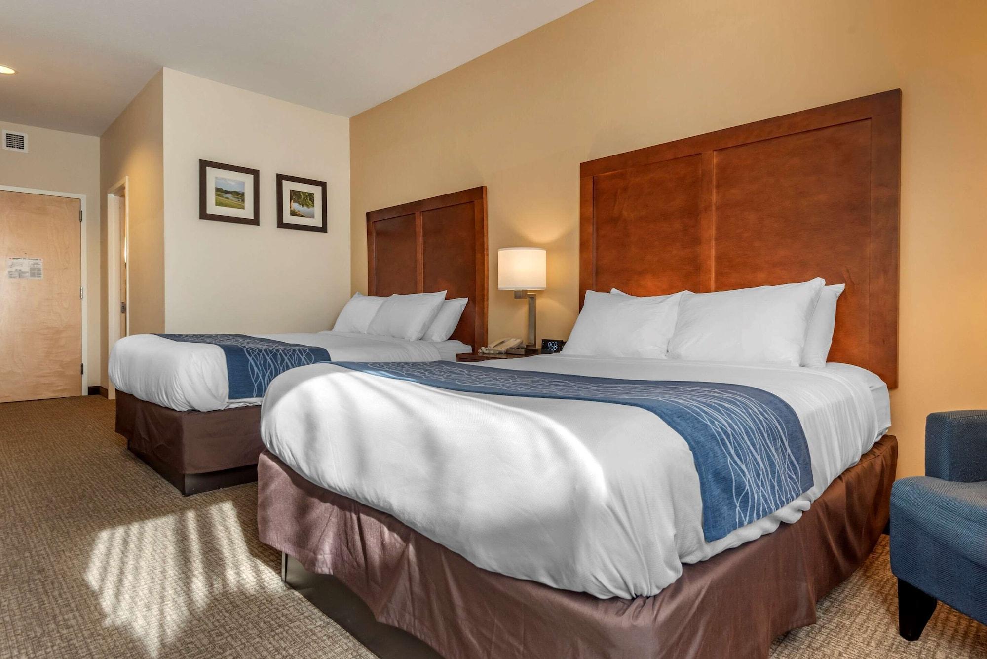Comfort Inn Apalachin - Binghamton W Route 17 Exteriör bild