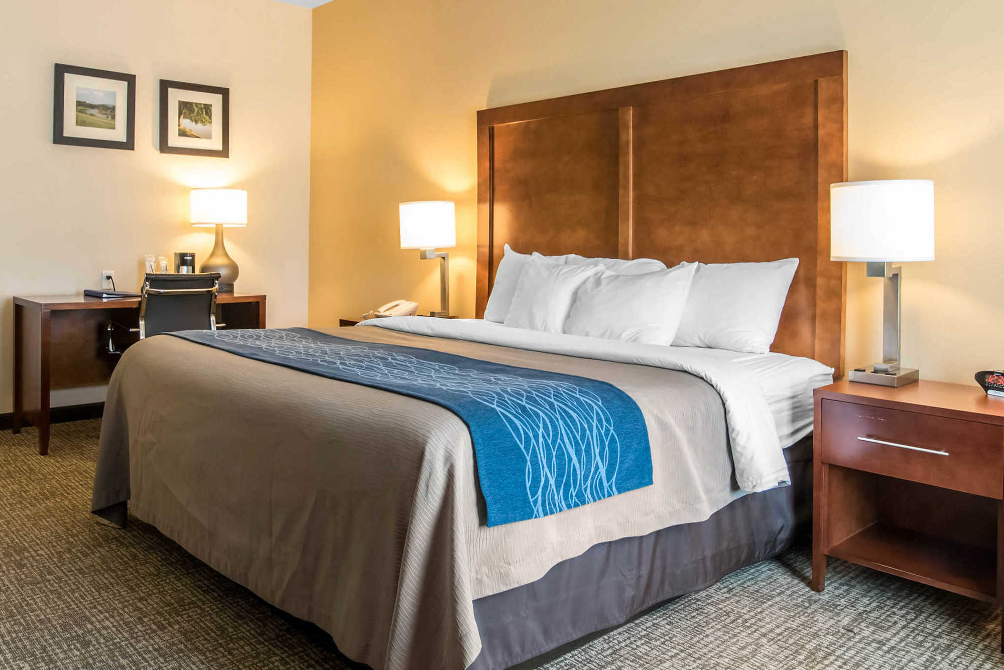 Comfort Inn Apalachin - Binghamton W Route 17 Rum bild