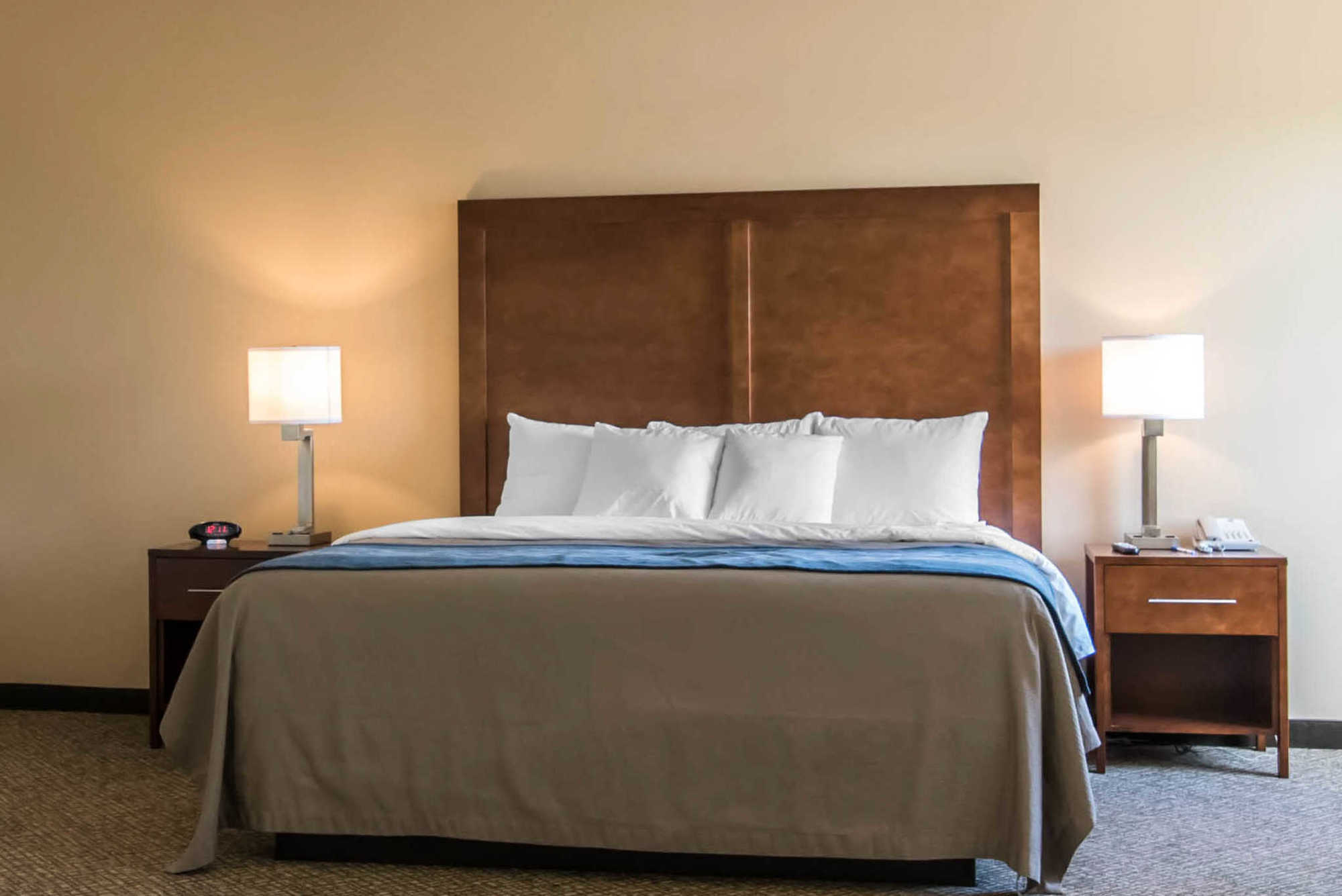 Comfort Inn Apalachin - Binghamton W Route 17 Rum bild