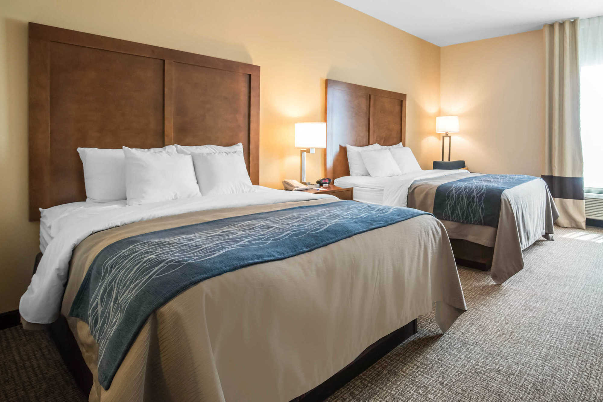 Comfort Inn Apalachin - Binghamton W Route 17 Rum bild