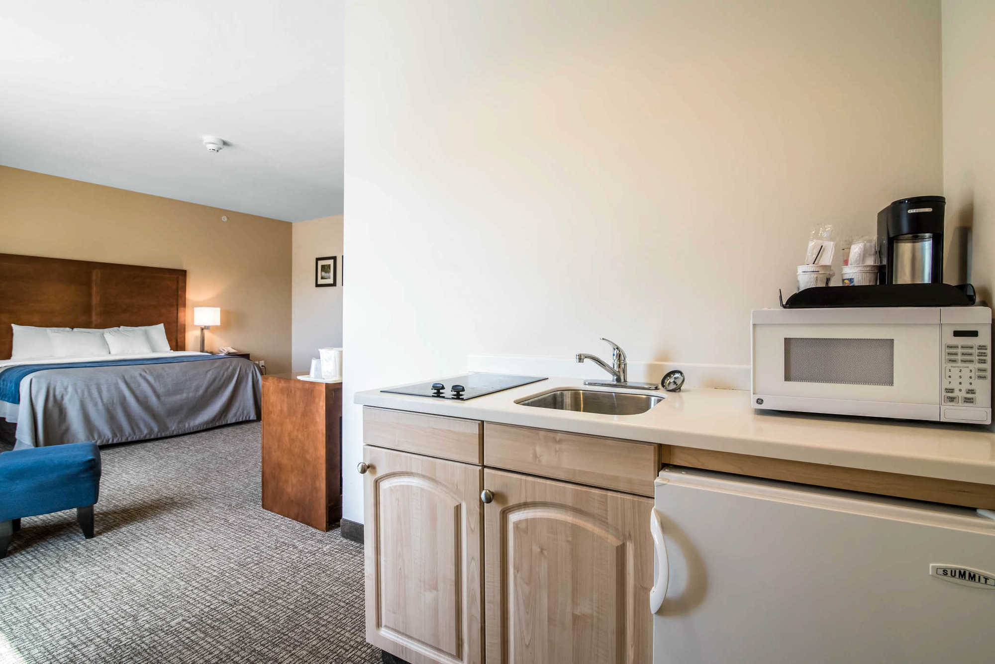 Comfort Inn Apalachin - Binghamton W Route 17 Rum bild