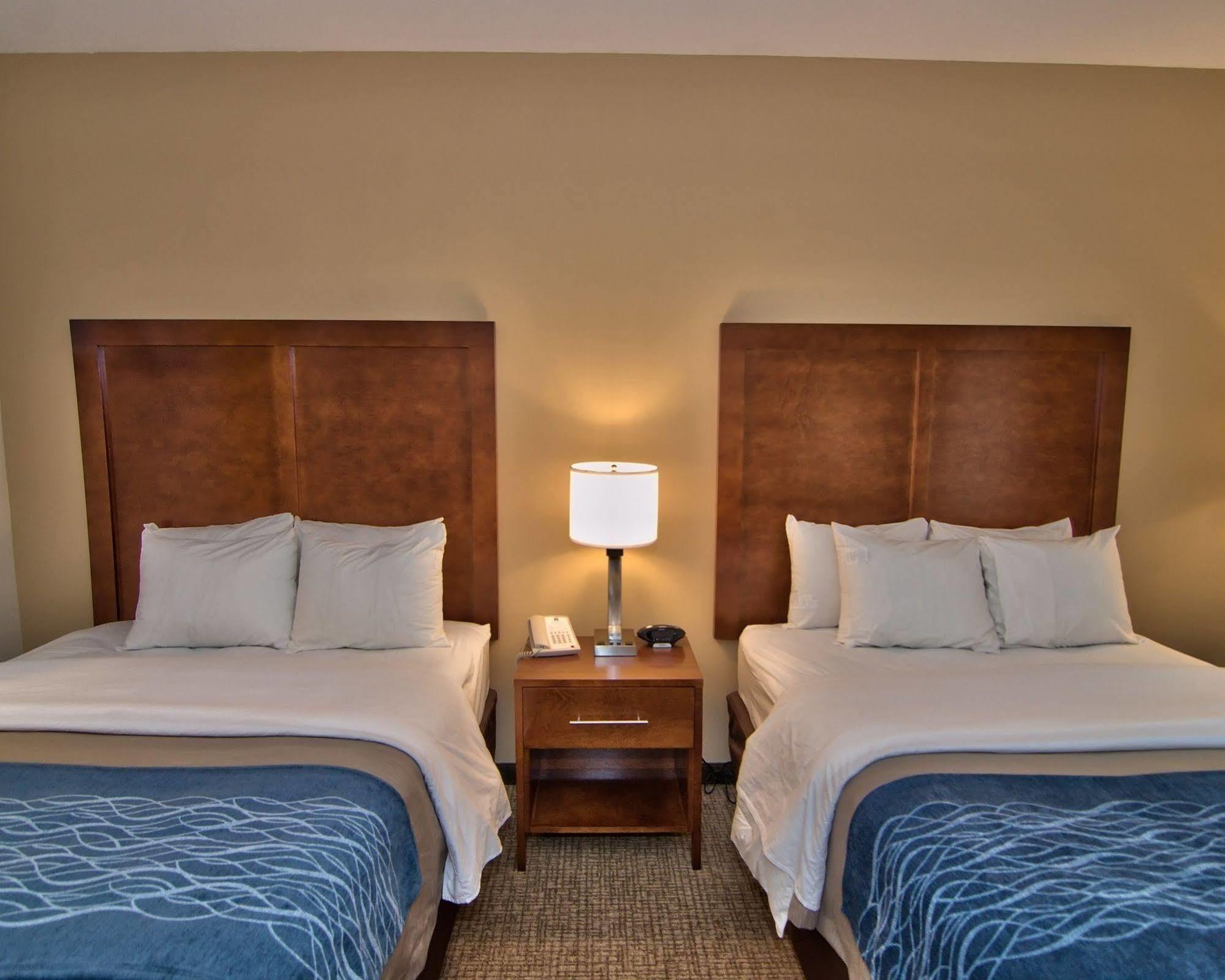 Comfort Inn Apalachin - Binghamton W Route 17 Exteriör bild